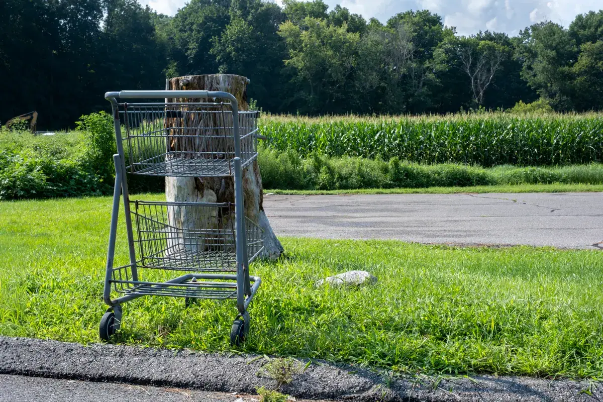 Abandoned cart recovery: abandoned Shopping Cart by a Tree Stump in a Rural Parking Lot Near a Cornfield.