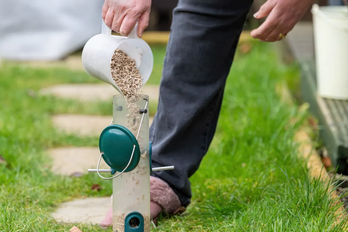 Bird feeder & wildlife marketing agency: person filling garden bird feeder with sunflower seeds outdoors.