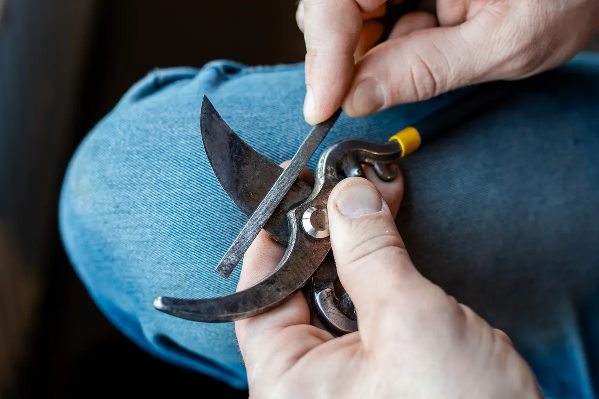Gardening tool marketing agency: a man sharpens the blade of a garden pruner with a file. Garden tools.