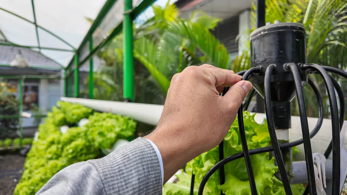 Hydroponics marketing agency: a hand inspecting the nutrient distribution tubes of a hydroponic system.