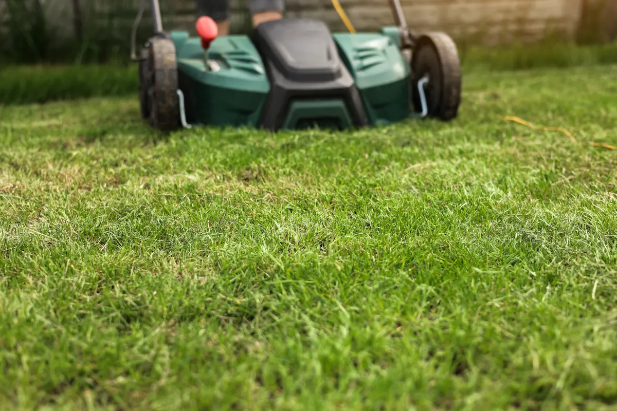 Lawn care product marketing agency: gardening work tools. Green electric aerator scarifier for soil cultivation and compaction on bright lush green lawn grass. Professional lawn care service. Grass maintenance. Place for text.