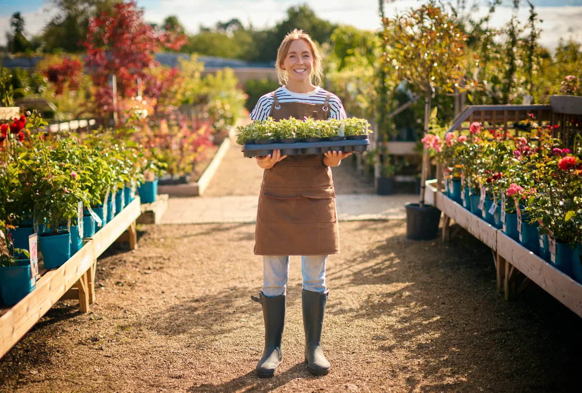 Plant nursery marketing agency: portrait Of Woman Working Outdoors In Garden Centre Carrying Tray Of Seedling Plants.