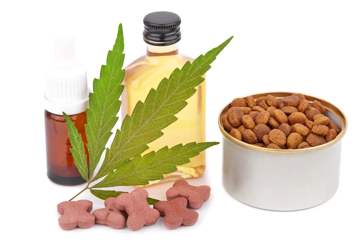 CBD marketing agency: concept food CBD pet, vitamins with CBD oil and cannabis of animal feed. Cannabidiol oil is used as a dietary supplement. Hemp products isolated white background.