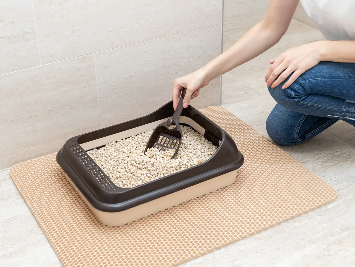 Cat product marketing agency: young woman cleaning cat litter box.