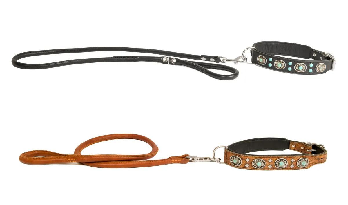 Dog collar & leash marketing agency: two dog collar with leash.