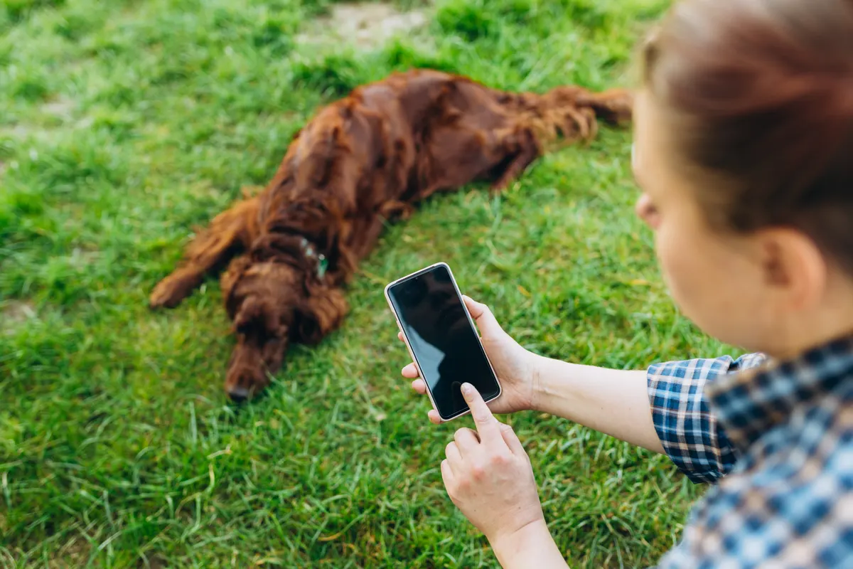 Pet GPS & tech marketing agency: vet telemedicine concept, pet owner calling video with veterinarian. Happy Woman sitting with the dog in the park and using phone.